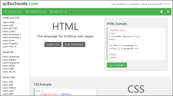 W3 Schools